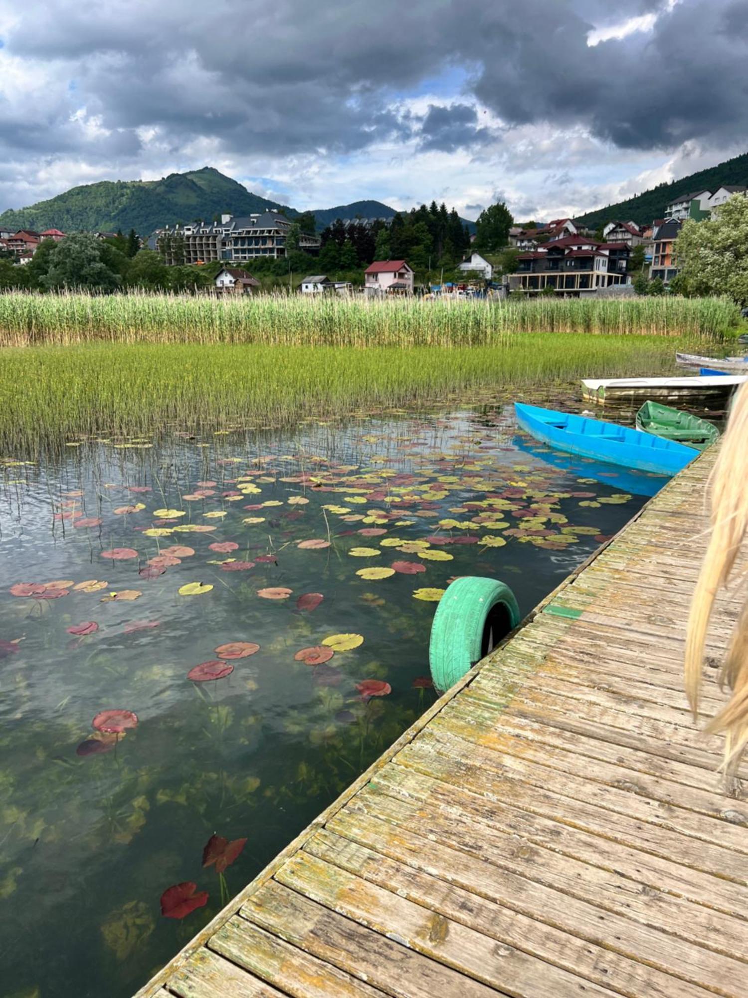 Ellas Lakeside Apartment Plav
